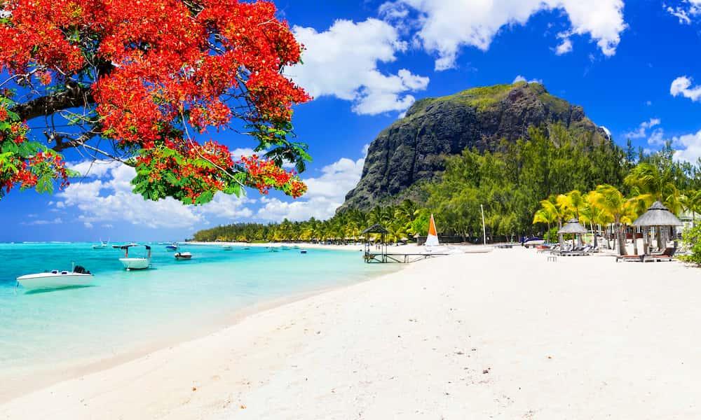 mauritius luxury rentals