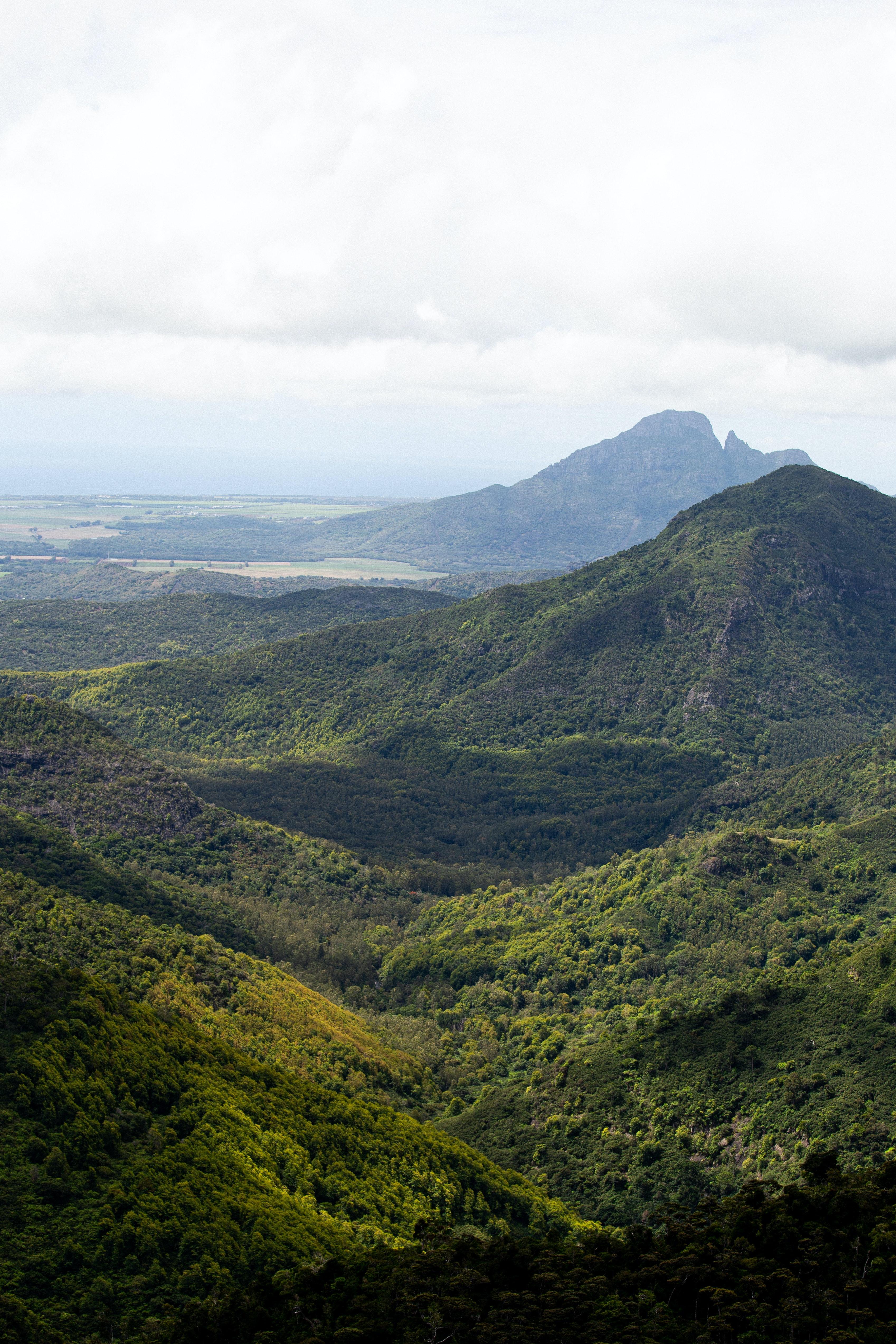 residency by investment in mauritius economical growth